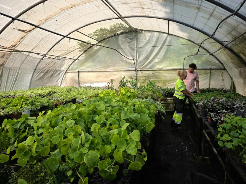 Los Viveros Municipales de Lorca producen 20.000 plantas anuales y ahorran 150.000 euros