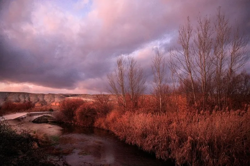 Calatayud busca tres operarios para la limpieza de riberas del río Jalón
