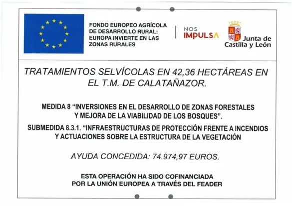 Abejar planifica tratamientos selvícolas para 2025 en sus montes