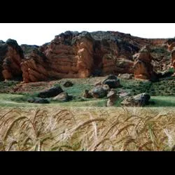 Descubriendo la riqueza natural y geológica de Cihuela: El Royo, Cuberos y Peñarrubias