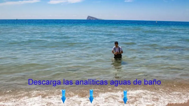 Benidorm publica los análisis de calidad de sus aguas de baño
