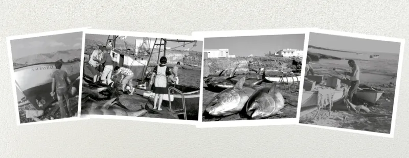 Adeje celebra las Fiestas de La Caleta del 28 de julio al 3 de agosto con un programa variado