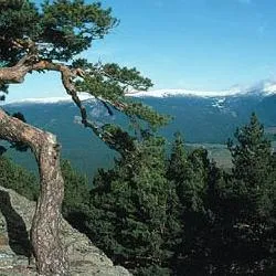 Almarza presume de su rica biodiversidad y recursos naturales