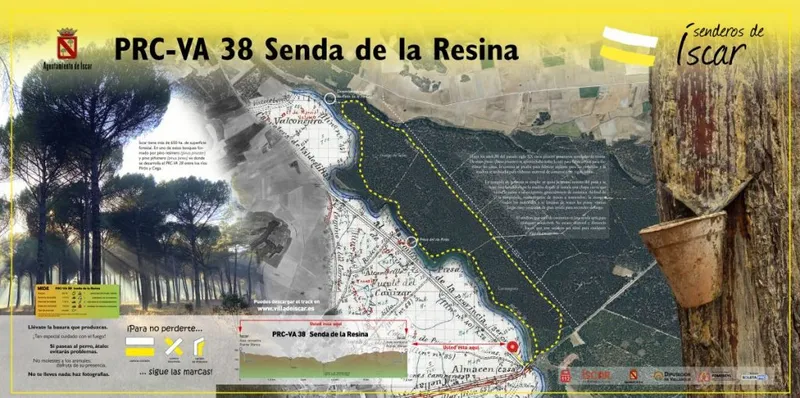 Íscar promociona sus rutas de senderismo: Senda de la Resina y Senda Real de Merinas