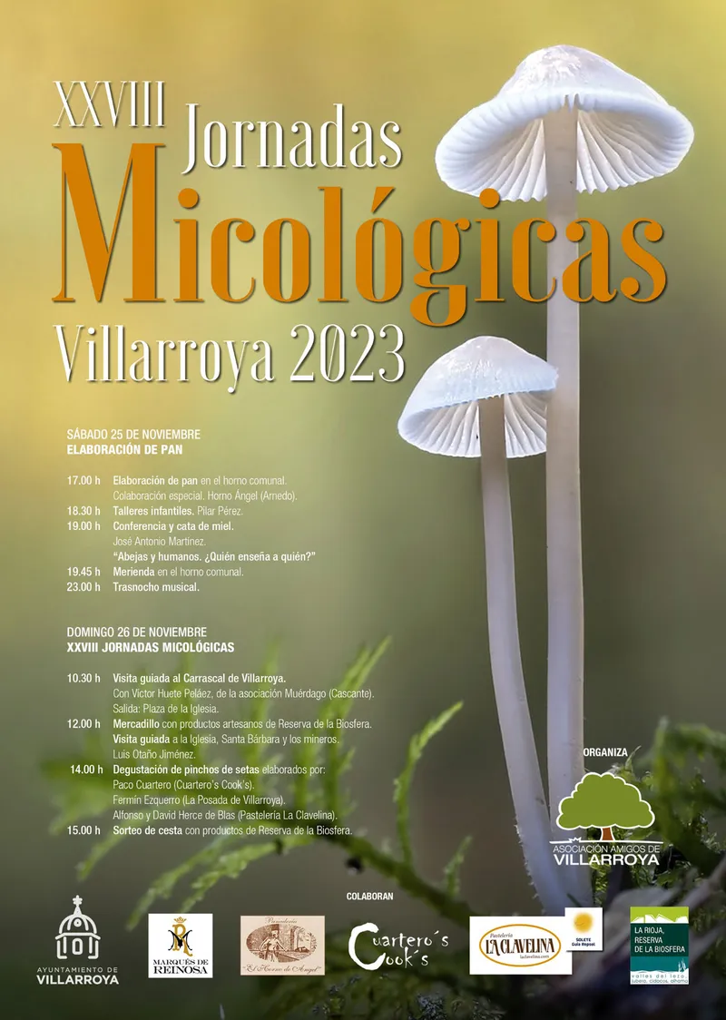 Villarroya se viste de otoño con sus XXVIII Jornadas Micológicas