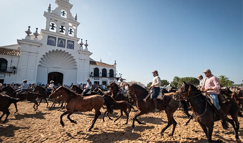 La Saca de las Yeguas de Doñana adelanta su horario por el calor