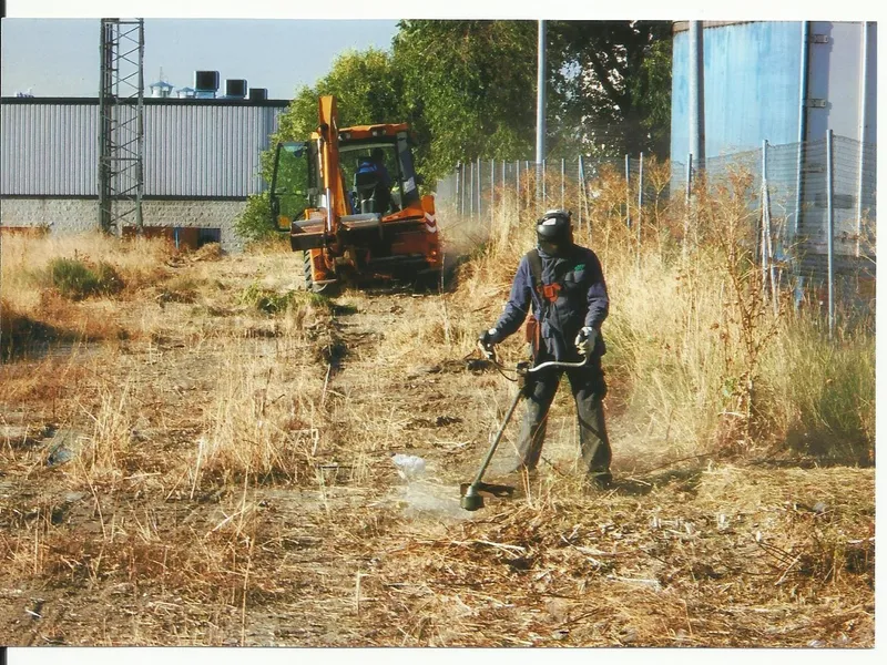 Sax recuerda la obligación de mantener limpios los solares urbanos