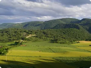 Rutas de senderismo en Urbasa-Andía y Lokiz: un paraíso natural navarro