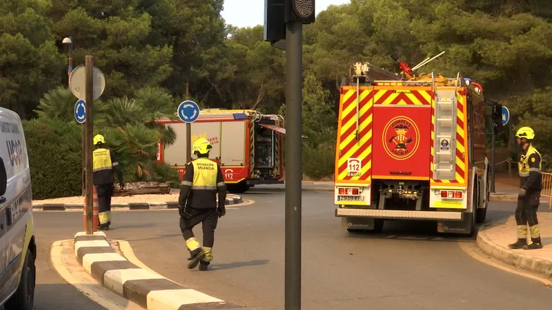 València se personará en la causa judicial por el incendio de El Saler