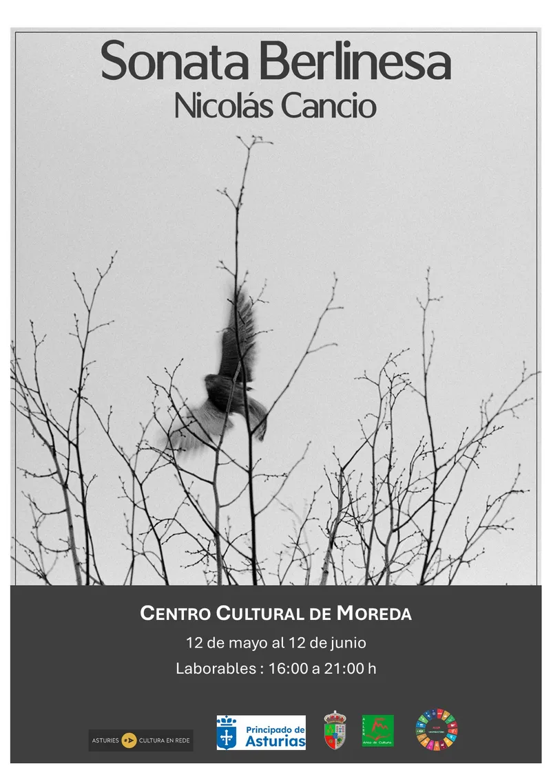 Exposición 'Sonata Berlinesa' de Nicolás Cancio llega a Aller
