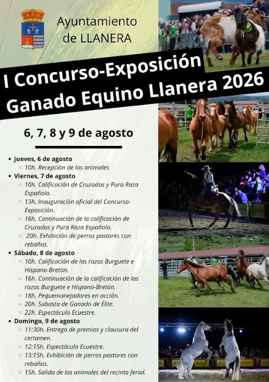 Llanera convoca el I Concurso-Exposición de Ganado Equino con ayudas para los participantes