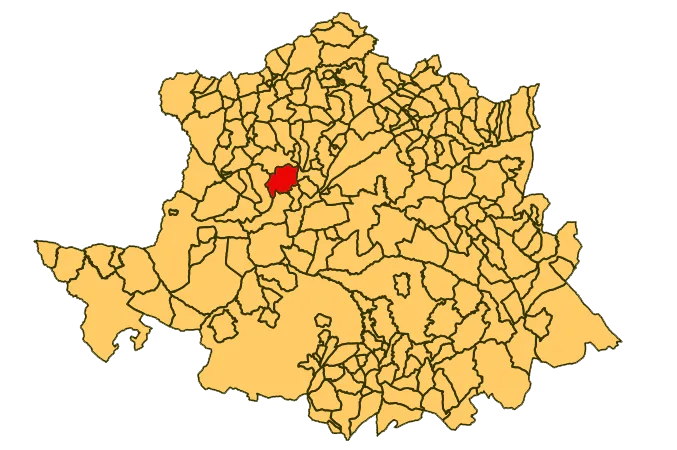 Torrejoncillo: Geografía, historia y demografía de un municipio cacereño