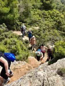 Descubre la Sierra de Mariola: rutas de senderismo, naturaleza y cultura