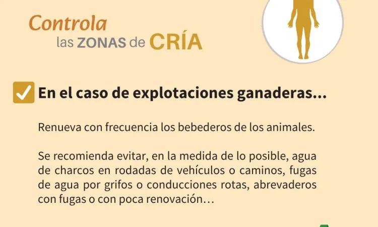 Casariche llama a la colaboración ciudadana para frenar la proliferación del mosquito tigre