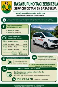 Basaburua pone en marcha un servicio de taxi para mejorar la movilidad de sus vecinos