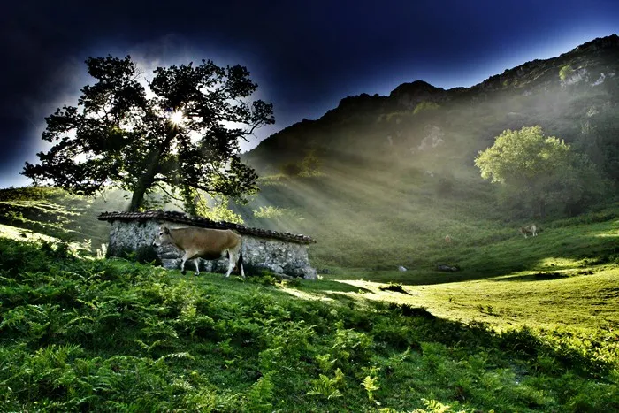 Colunga: La Sierra del Sueve y sus huellas de dinosaurio, un tesoro natural y paleontológico