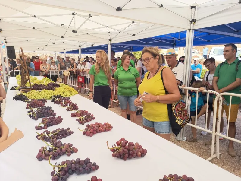 Las uvas de Novelda engalanarán la imagen de Santa María Magdalena en la romería de la Baixà