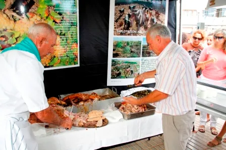 Arrecife celebra la Jornada de las Tapas para dinamizar la hostelería local