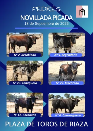 Riaza celebra su feria taurina con una novillada el 18 de septiembre