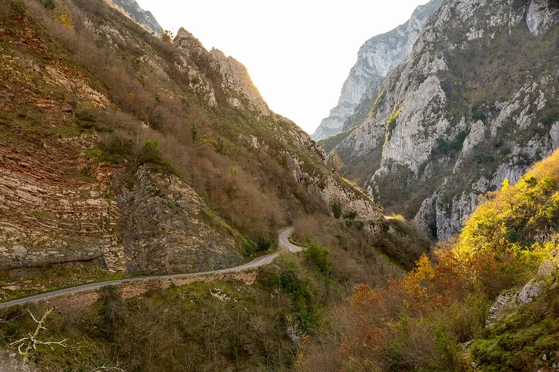 El Parque Natural de Ponga: un tesoro de biodiversidad en la Cordillera Cantábrica