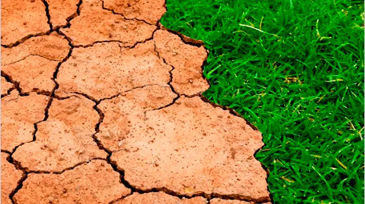 Cataluña impulsa la resiliencia climática con objetivos de reducción de emisiones y adaptación