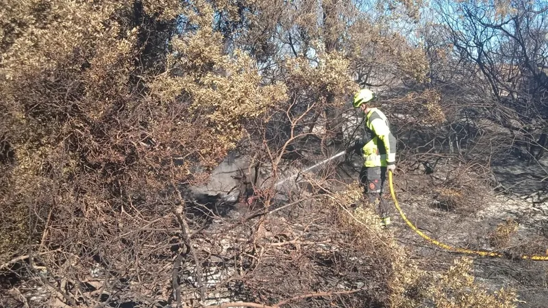 València reabre al tráfico la CV 500 y 401 tras el incendio de El Saler
