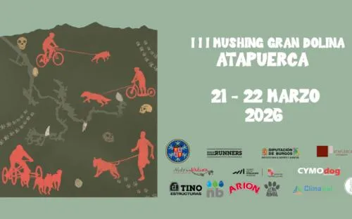 Atapuerca acoge el Campeonato de España de Mushing en la Gran Dolina
