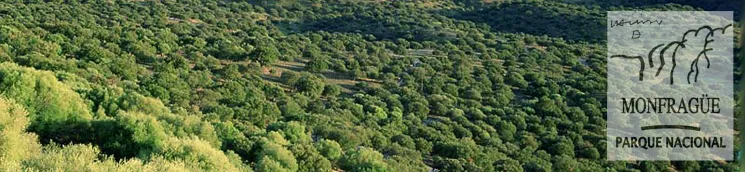 Jaraicejo: Un portal privilegiado al Parque Nacional de Monfragüe