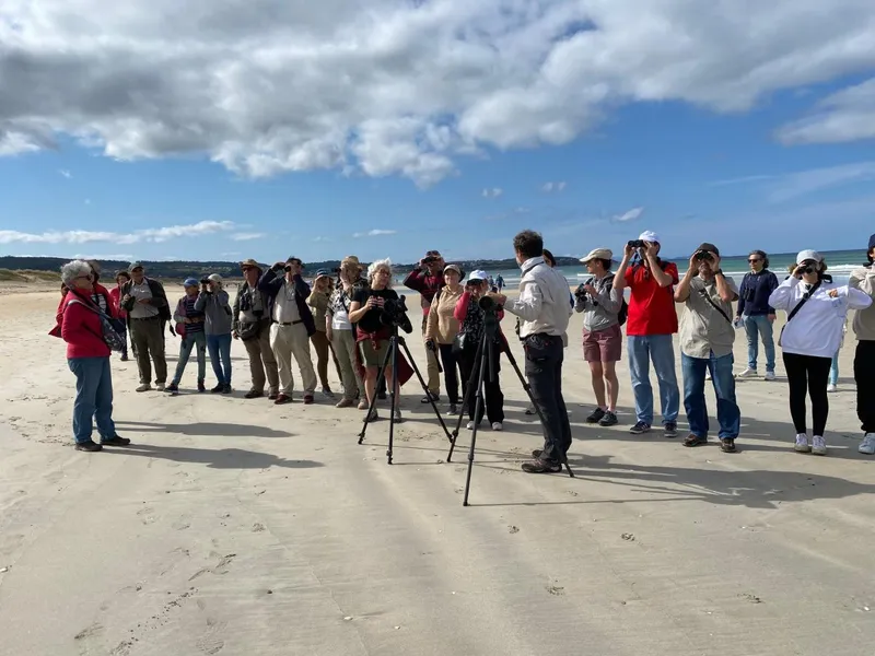 La Deputación de Pontevedra organiza una ruta ornitológica en A Lanzada para proteger la píllara de las dunas