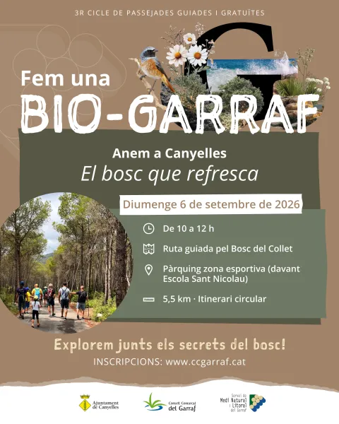 Canyelles organiza una ruta guiada gratuita por el Bosc del Collet para descubrir la flora y fauna local