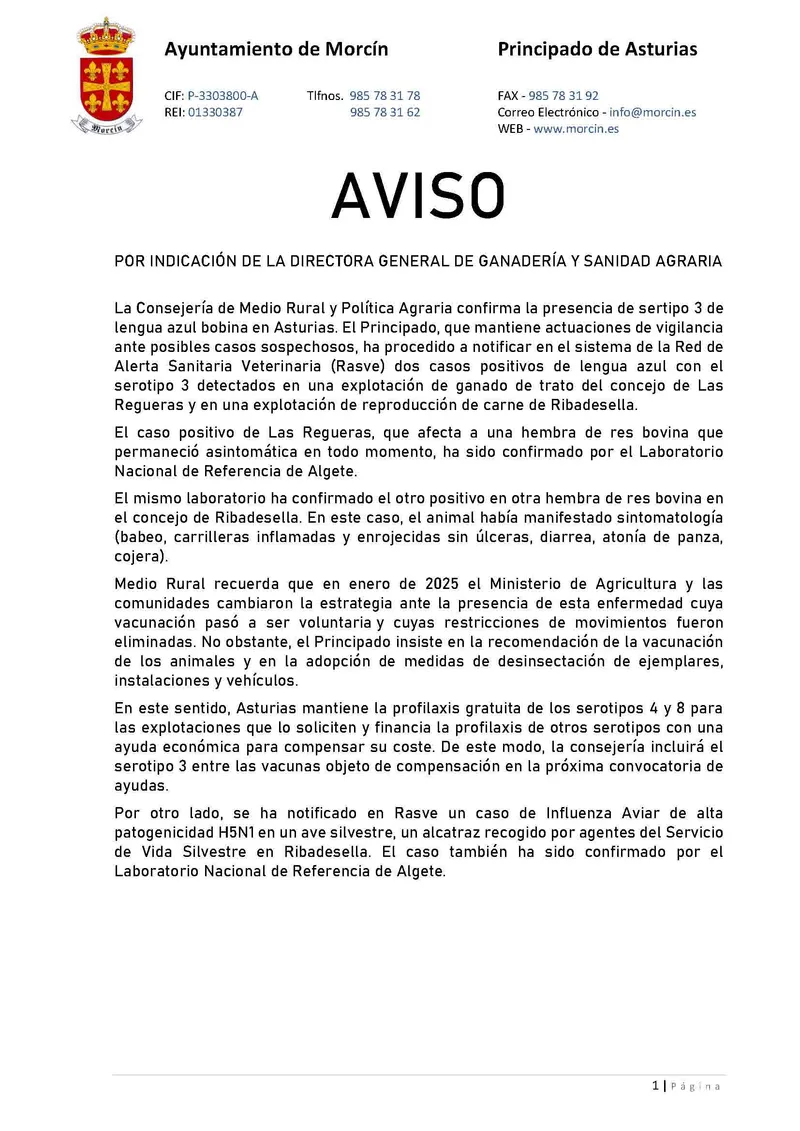 Alerta Sanitaria: Publicado aviso sobre la enfermedad Lengua Azul en Asturias