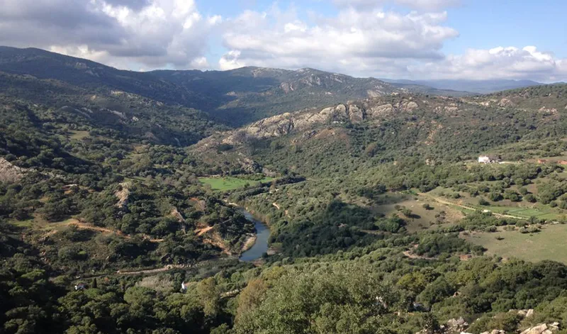 Los Alcornocales, laboratorio natural para la lucha contra el cambio climático