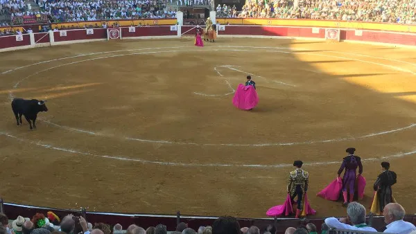 Manuel Escribano, homenajeado por el Ayuntamiento de Huesca en las fiestas laurentinas