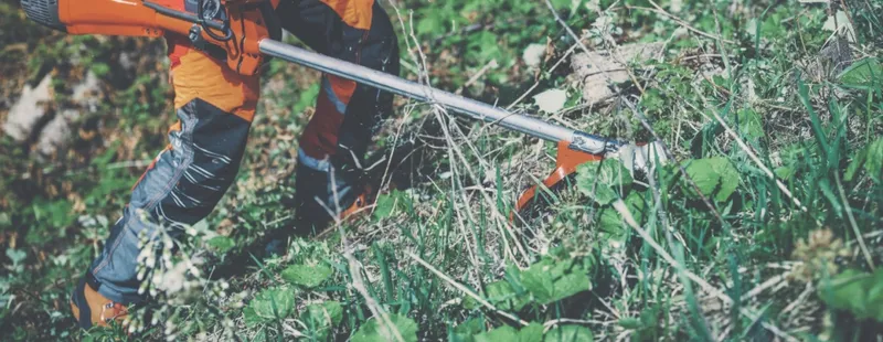 Adeje refuerza la prevención de incendios con control de franjas de seguridad urbano-forestal