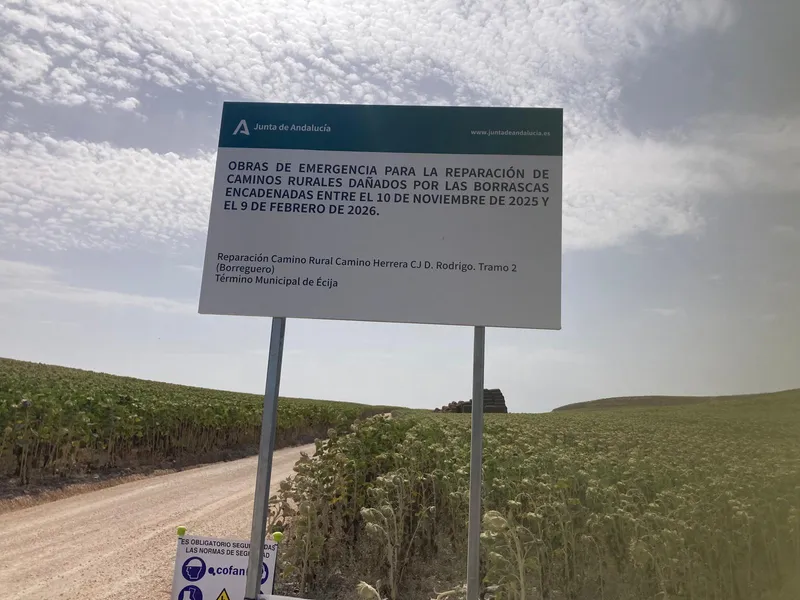 La Junta de Andalucía destina 563.000 euros a la mejora de caminos rurales en Écija