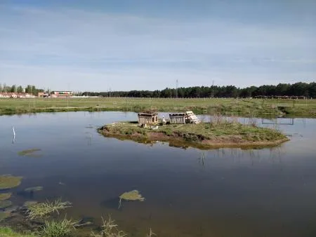 Sanchonuño estrena una vía peatonal didáctico-turística en la Dehesa Boyal