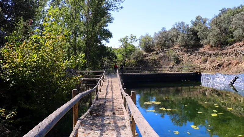Sediles recupera la Balsa Grande, un enclave histórico y natural de la Comarca de Calatayud
