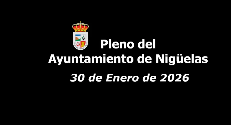 Nigüelas retransmite en directo el pleno municipal de este 30 de enero