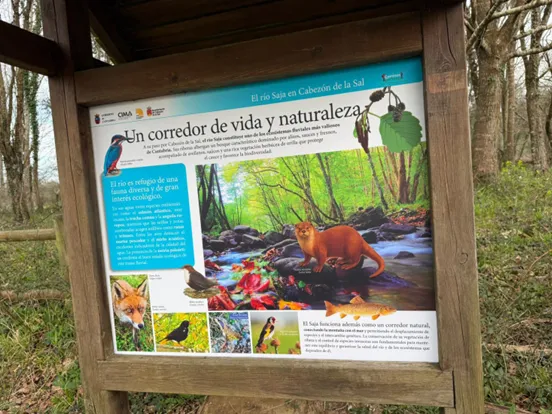 Cabezón de la Sal celebra el Día del Medio Ambiente con una ruta guiada sobre especies invasoras