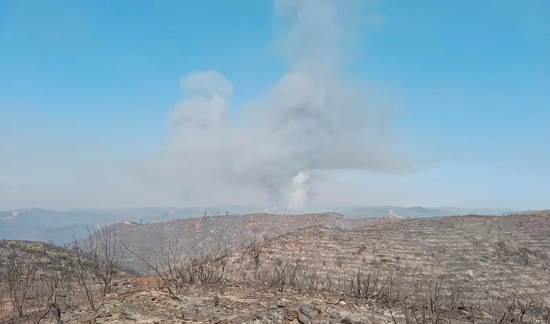 Junta de Andalucía solicita declarar 'desastre natural' por el incendio de Niebla