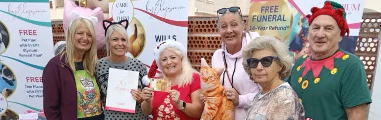 Voluntarios de Algorfa protegen a los gatos callejeros con programa TNR