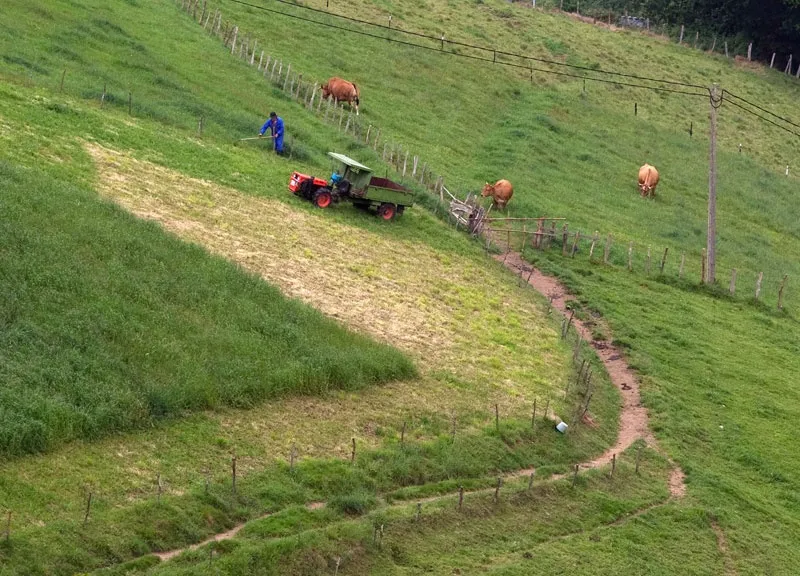 Taramundi facilita información sobre normativa agraria y ganadera