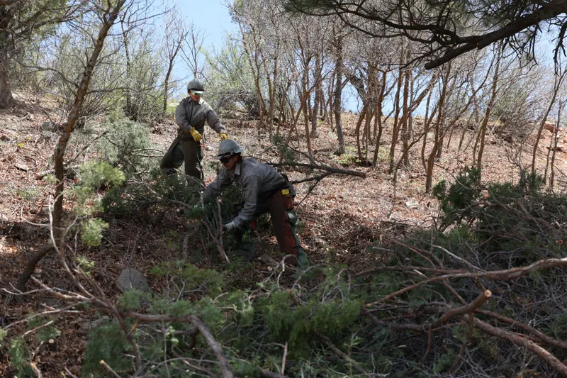 Durango intensifica la prevención de incendios forestales ante el cambio climático