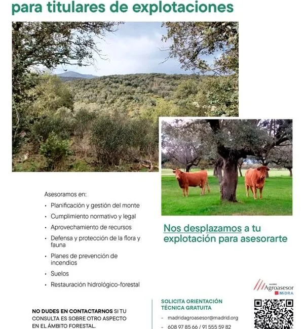 IMIDRA ofrece asesoramiento forestal gratuito para optimizar explotaciones en Moralzarzal