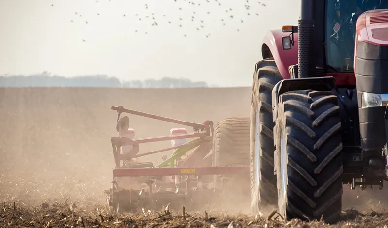La Junta de Andalucía finaliza el pago de casi 147 millones de la PAC 2025 a más de 196.500 agricultores