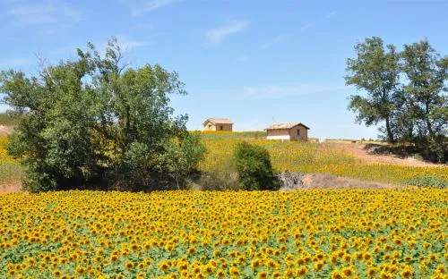Descubre la riqueza etnográfica y paisajística de la provincia de Burgos