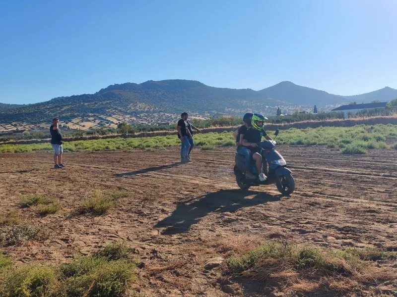 Guadalmez celebra con éxito su primera carrera de galgos organizada por la Peña El Valle