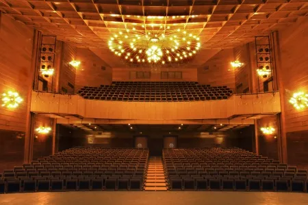 Manzanares acoge las galas finales de 'A tu vera contigo' de CMM
