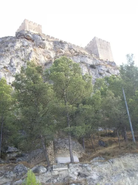 El Castillo de Sax, un tesoro natural con flora y fauna únicas