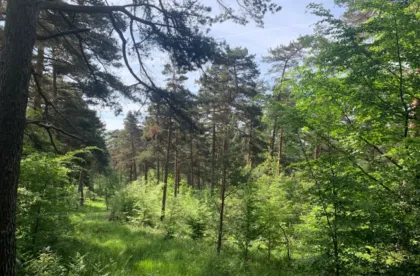 Vitoria-Gasteiz refuerza la prevención de incendios forestales con agricultores voluntarios